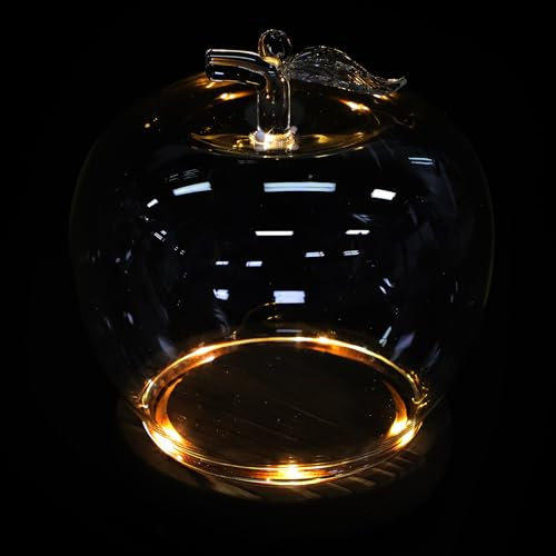 Toyvian Lot de 2 Dômes en Verre Transparent avec Socle en Bois Antique Lumineux Cloches de Présentation Anti-poussière pour Décoration Intérieure, Vitrines D’Exposition et Objets
