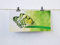 Postkarten XXL Panorama Schmetterling