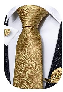 Barry.Wang Paisley Ties Gold Men Fashion Necktie and Pocket Square Cufflink