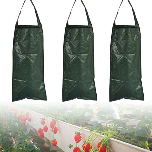 BUDPSI Sac de Plantation 3 Pièces 10 Trous Jardinieres Exterieur Suspendue, 58 X 25,5 cm Jardiniere Suspendue, Sac Culture Fraises, Pot Fleur Sac Croissance, pour Fleurs, Plantation Fraises