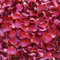 Petals and Roses Freeze Dried Rose Petal Confetti | Natural & Biodegradable for Weddings, Romantic Red, 2 Litres