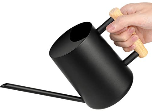 Giesskanne, 1L Gießkanne Zimmerpflanzen, Edelstahl Langer Auslauf Gießkanne für Sukkulenten, Gießkanne mit Komfortgriff, Garten Sprinkler Vintage Blumengießkanne für Balkon Büro Wohnzimmer (Black)