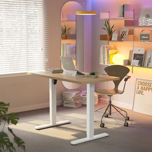 HUANUO 120 cm Electric Standing Desk Adjustable Height, 4 Memory Height Settings, Sit Stand Up Desk for Home Office & Computer Workstation, Light Wulnut