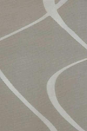erfal Schiebevorhang Schiebegardine Flächenvorhang Raumteiler transparent 60 x 245 cm Wave wellige Streifen beige