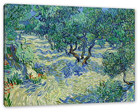 Pixxprint Vincent Van Gogh - Oliven-Feld, Größe: 80x60cm, Leinwandbild, fertig gespannt, Wandbild, Dekoration, Kunstdruck, kein Poster