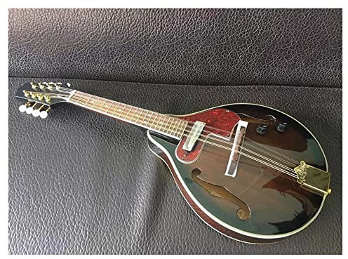 ZENGXUE 8 String Musical Instrument With Rigid Electric Mandolin Mandolin Musical Instrument