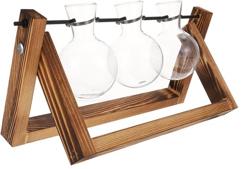 FUNOMOCYA Desktop Wasserpflanzen Terrarium Satz mit Glasvasen und Holzständer Transparentes Pflanzgefäß für Hydroponische Vermehrung und Tischdekoration