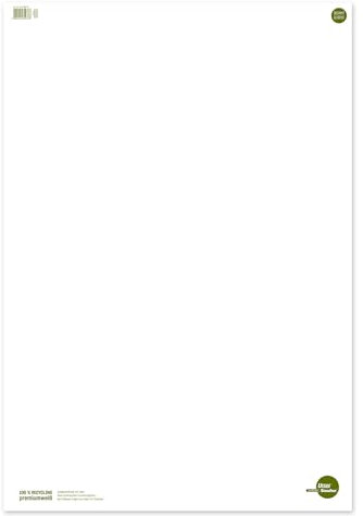 Staufen Green Flip Chart - 68 x 99cm, blanko, 20 Blatt, premiumweißes 80g/m² Recyclingpapier, 5 Stück