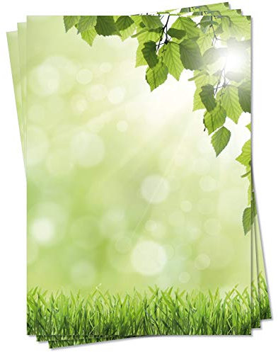 Motiv Briefpapier (Sommer-5092, DIN A4, 100 Blatt) Briefpapier grüne Wiese mit kräftig frischem Laub einer Birke im Vordergrund