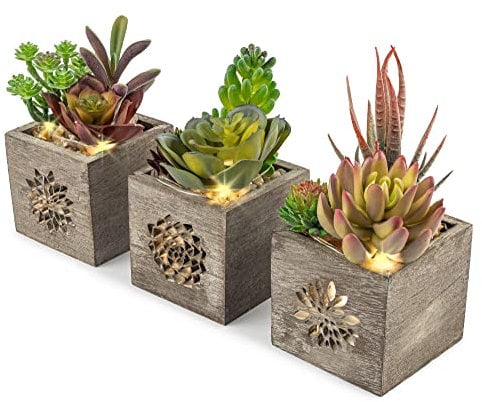 Lot de 3 plantes succulentes artificielles avec lumières LED dans une boîte en bois, plantes artificielles en plastique pour décoration de maison/bureau, centre de table, Saint Valentin