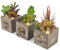 Juego de 3 suculentas artificiales con luces LED en caja de madera, plantas artificiales de plástico para decoración del hogar/oficina, centro de mesa, día de San Valentín