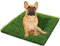 Esterni, Erba Finta per Cani, vasino, Area di Addestramento, Patio, Prato Inglese, 4 Dimensioni L - M - L -XL (M (50X65))