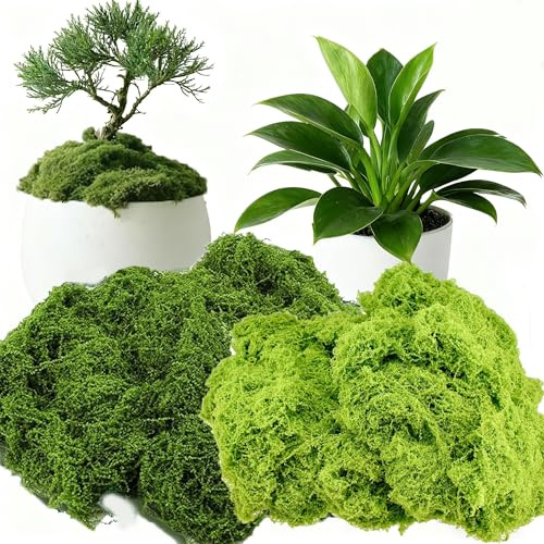 HanYun 200g Artificial Fake Moss Decorative, Fake Bulk Sphagnum Moss for Plant Garden Indoor Plant Pots, perfect for Floral Arrangements and DIY Decorations (Light Green and Green)