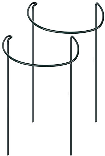 RTWAY Lot de 2 piquets de support semi-circulaires en métal pour plantes de jardin - Support de pivoine pour petites plantes en pot d'intérieur - 25,4 x 40,1 cm