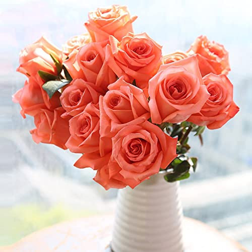Luojuny 200 stücke Premium pflanzliche Samen Blumensamen Rose Sämlinge Schnellanbau Schöne Schönheit Schöner Erlebnis Rose Samen für Balkon Rosa