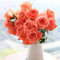 Luojuny 200 stücke Premium pflanzliche Samen Blumensamen Rose Sämlinge Schnellanbau Schöne Schönheit Schöner Erlebnis Rose Samen für Balkon Rosa