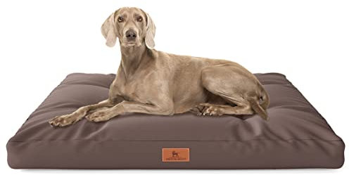 Knuffelwuff Hundekissen Gatsby aus Oxford-Gewebe 65 x 90cm Braun - rutschfeste Unterboden - leicht zu reinigen - für große, mittelgroße und kleine Hunde