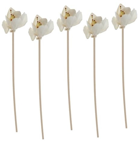 Alipis 3 Sätze Tong-Gras- Büroradio Bürolocher Küchen Blumendiffusor Aromazubehör Weihrauchhalter Luftbefeuchter Gips Duft Parfüm Diffusor Aromatherapie-rattanreben Weiß 5 Stück * 3