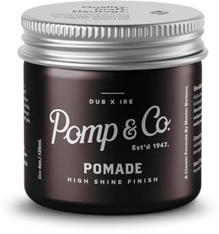 Pomp & Co High Shine Pomade, Herren Styling Pomade für einen mittelstarken Halt mit einem Wetlook Finish, Pomade auf Wasserbasis 120ml