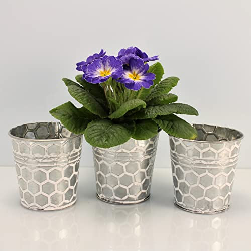 OF 3 Silberne Blumentöpfe aus Metall im Set mit Wabenmuster - Kräutertopf Blumentopf rund (3er Klein P65), Silber/Weiß