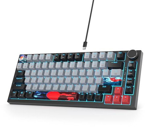 SOLIDEE Verkabelte Mechanische Gaming Tastatur 75%,hot-swap-fähige mechanische Tastatur Gasket,RGB Hintergrundbeleuchtung,QWERTY 82 Tasten TKL Gaming Tastatur,NKRO Tastatur mit Drehknopf(82 Dolch)