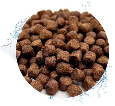 Warnick´s Tierfutterservice - Fischfutter - Koifutter Top Energy Plus (8mm) - Premium Koifutter - 15 L - Tierfutter-MV