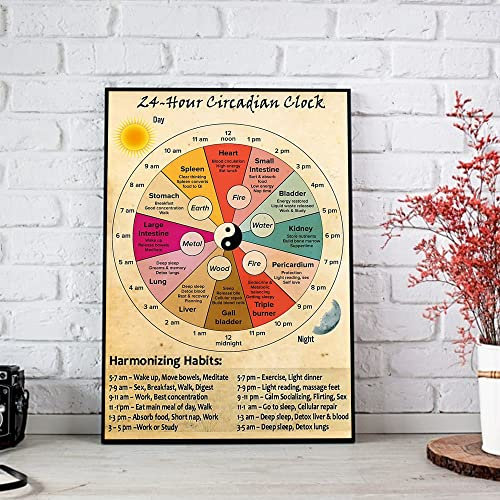 Eletina Retro-Metallschild, 24-Stunden-Zirkadianische Uhr, Wandkunst, Geschenk, Heimdekoration, Metallschild, 30 x 20 cm