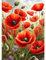 CEOVR DIY 5D Diamant Painting Erwachsene,5D Diamant Paint Kits Kristallartiges Kreuzstichset,Diamond Painting Set für Home Wall Décor,30x40 cm (rot grün weiß)