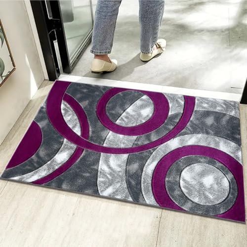 Rugs Inn Door Mat for Indoor - Soft Shaggy Pile Washable Door Mat for Kitchen Hall Bedroom Living Room Small Floor Mat (50 x 80 cm, Purple)