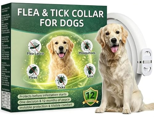 Collare Antiparassitario per Cani 65cm con Oli Essenziali di Citronella e Lavanda, Collare Antipulci Cane Naturale contro Pulci e Zecche, Adatto per Cani di Media e Grande Taglia