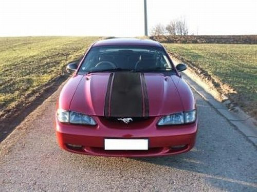 PEMA INDIGOS UG - Viperstreifen - Motiv 5-3900 x 300 Silber - Tuning - Carstyling - Viper - Racingstreifen
