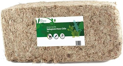 Sphagnum Moos Chile 5kg · ergibt 250 Liter langfaseriges Premium Torfmoos | Für Orchideen, Monstera, Philodendron, Terrarium · antibakteriell · auch für Moosstäbe & Stecklinge · Sphagnum Moss aus Chile