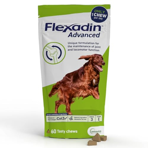 Flexadin Advanced Joint Care Supplement for Dogs containing Undenatured Type II Collagen, Boswellia serrata, Omega 3 & Vitamin E/Promotes joint health, mobility & flexibility | 60 chews