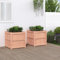 prissent Jardinière de jardin en plein air en bois marron 60 x 60 x 60 cm en bois massif de douglas