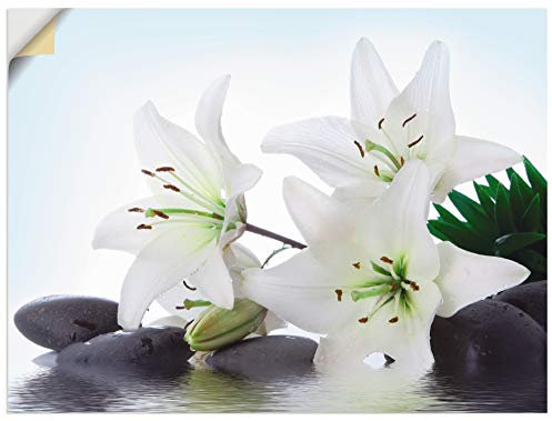 ARTland Wanddeko Wandtattoo selbstklebende Vinylfolie Asiatische Motive Zen Asien Asiatisch Steine Lilien Blüten T5LS