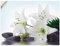 ARTland Wanddeko Wandtattoo selbstklebende Vinylfolie Asiatische Motive Zen Asien Asiatisch Steine Lilien Blüten T5LS