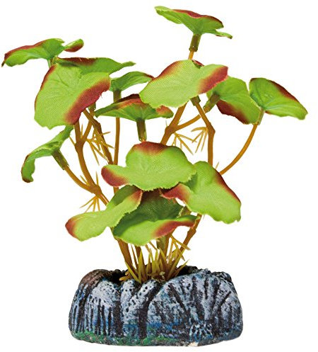 ICA Aquatic Plants AP1116 Planta de Seda Nenúfar para Acuarios, 10,5 Cm