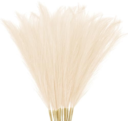M METERXITY 20-Pezzi Erba di Pampas Finta 21,7/55cm Piccola Erba Pampa Finta Soffice Decorazione Rami Riempitivo Vasi per Casa/Matrimonio/Vaso/Ufficio/Festa [Champagne]