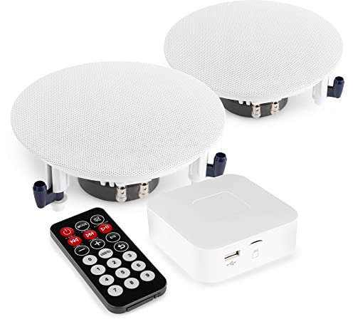 Power Dynamics Mini Verstärker BT20 mit Einbaulautsprecher für Außen - Komplettset für Garten, Terrasse, Überdachung etc. - Schwarz