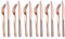 Cobre Juego de Cuchillos Para Carne 12 Piezas, Acero Inoxidable Premium 6 Tenedores Para Cena Y 6 Cuchillos Para Cena, Cuchillo Para Bistec Tenedor Para Bistec 6 Personas (Brillante Cobre)