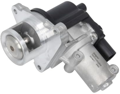 DELPHI EG10617-12B1 AGR-Ventil Abgasrückführungsventil ohne AGR-Kühler ohne AGR-Kühler Kompatibel mit HYUNDAI ix35 LM, EL, ELH 284102F000 284102F000FFF