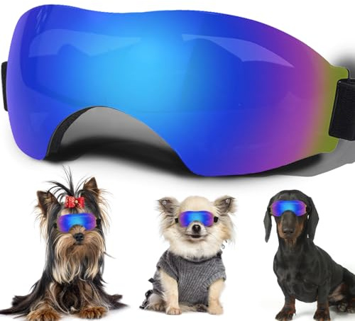 Sonnenbrille für kleine Hunde, mit verstellbarem Riemen, UV-Schutz, Winddicht, schneefest