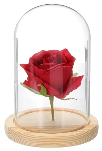 QUARKZMAN Glasglocke Ausstellungsdom 5.9 x 3.5 Zoll Dekorative Glasglocke | Glasglocke Vitrine Holzsockel Tischglas Behältnis, Für Pflanzen Zierde Zuhause Büro Hochzeit Party, Natürlich