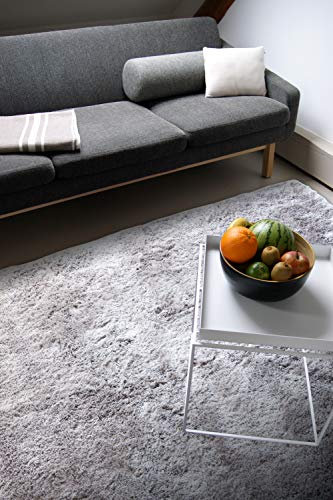 floor factory Moderner Teppich Delight Silber grau 80x150cm - edler Designer Teppich mit flauschig weichem Flor