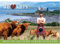 2025 Monatlich Wandkalender Schottland We Love Men in Kilts Neuheit, Schottischer Spaß