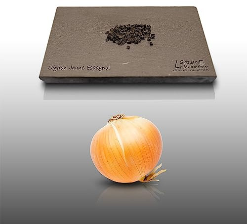 100 graines à semer - Le Grenier d'Abondance - OIGNON Jaune Espagnol - Allium cepa