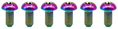 RISON-Titanium 6 Pezzo Viti per Bicicleta in Titanio M5x10mm, Bulloni del Rotore del Freno a Disco con Testa Torx, Viti Freni a Disco MTB Testa Tonda per Biciclette, Mountain Bike
