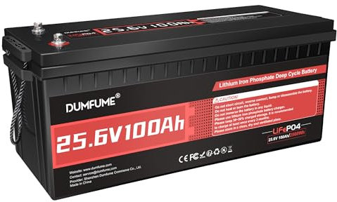 Dumfume 24V 100Ah LiFePO4 Lithium Batterie, Eingebautes 100A BMS, 2560W Leistung, bis zu 15000 Zyklen, Ideal für Wohnmobil, Marine, Trolling Motor und Solar Off-Grid Systeme