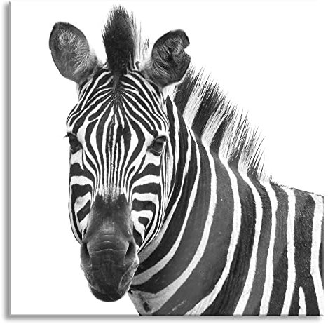 Pixxprint Glasbild, Wandbild auf Echtglas, Zebra im Portrait, 80x80 cm, inkl. Aufhängung und Abstandshalter