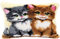VERVACO Knüpfkissen Set Deko Kissenbezug Knüpfset für Anfänger Katzen Basteln Erwachsene Kreativ DIY Handarbeit Set Kissen zum Selber Knüpfe ca. 40 x 40 cm Latch Hook Kit Knüpfhaken Zubehör Kissen